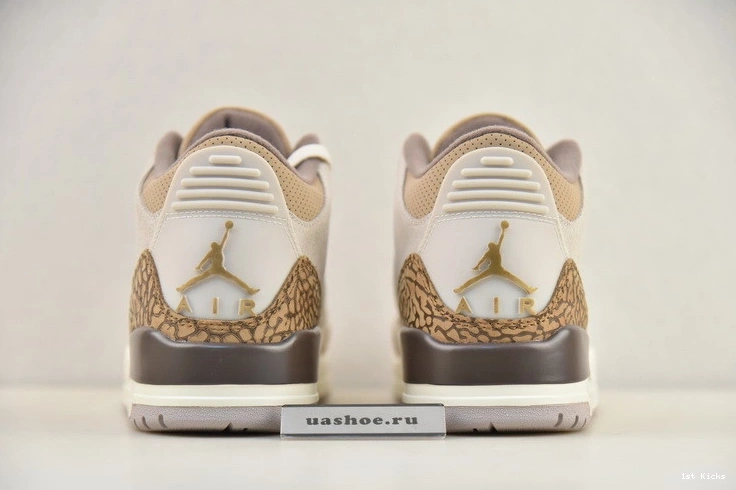 3 Palomino Air Jordan CT8532-102 0425
